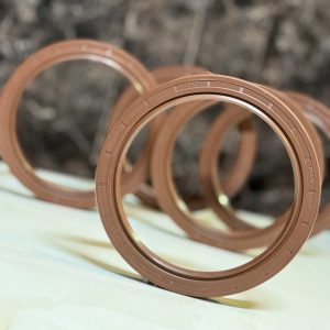 Row of brown rubber oil seals arranged on a white surface